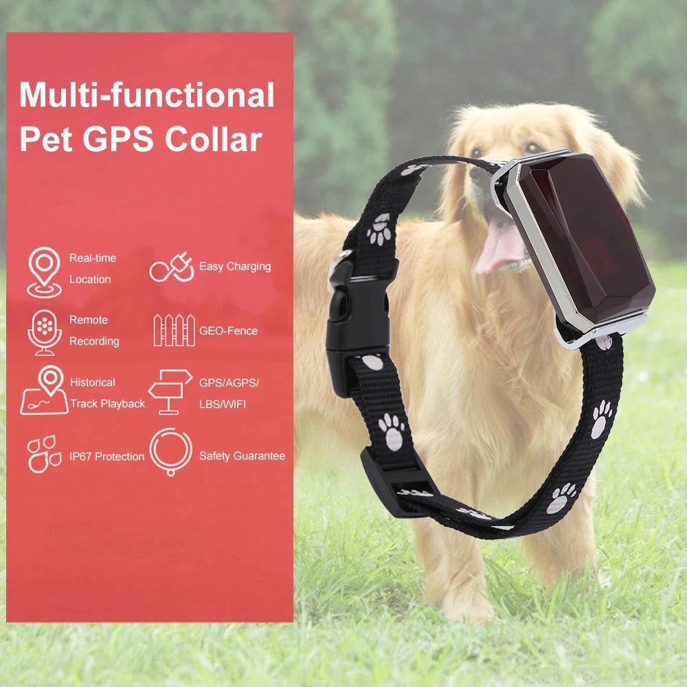 Smart GPS Cat/Dog Collar