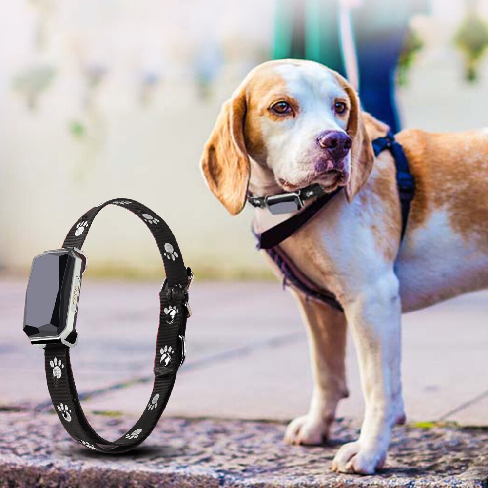 Smart GPS Cat/Dog Collar