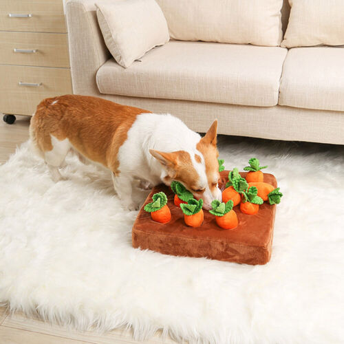Vegetable Chew Toy for Dogs