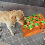 Vegetable Chew Toy for Dogs